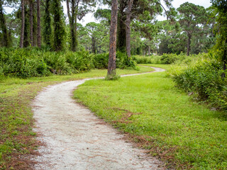 Walking trail in Lemon Bay Park and Environmental Center in Englewood on the Gulf Coast of Florida USA
