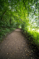 Fototapeta premium Ingendael nature reserve near Valkenburg, The Netherlands