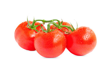 four tomatoes on a white background covered with water drops