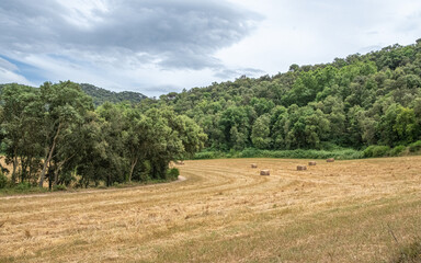 Campo con balas de paja
