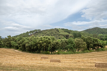 Paisaje con campo 