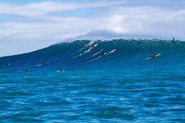 Surfers paddling over a giant wave - obrazy, fototapety, plakaty