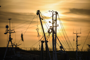 Schiffsmasten im gelben Abendlicht bei Sonnenuntergang