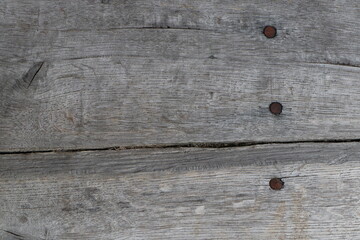 Fototapeta premium gray old oak wood background