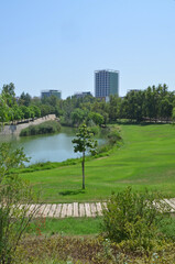 
public park with pond and skyscrapers in the background