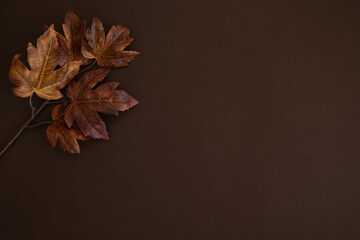 autumn leaves on dark brown background, space for copy