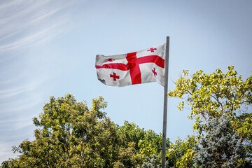 Flag of Georgia against the background of green trees.