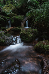 gertelbach bwaterfalls of the black forest (Schwarzwald), Baden-Wuerttemberg, Germany