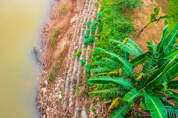 Mekong River Luang Prabang Laos from above with palm trees.