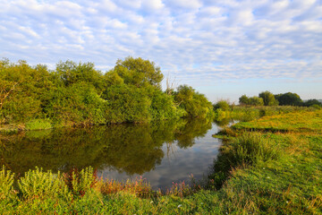 Fototapeta premium Forest river on a clear summer day with a bright blue sky and clouds. Trees are reflected in the water. The beauty of the native land.