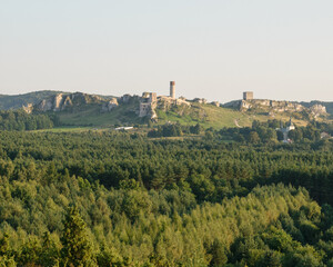 Fototapeta na wymiar Ruiny zamku w Olsztynie koło Częstochowy. Jura Krakowsko-Częstochowska