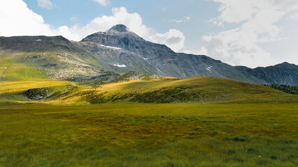 Pizzo Scalino dominates meadows.