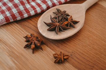 Cinnamon sticks and anise stars on the spoon