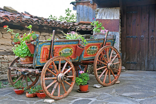 Small old colorful cart, covered with pots of flowers.