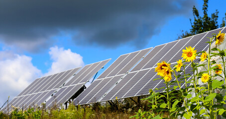 Sunflowers, solar panels
Bright yellow sunflower flowers on the background of a solar power plant....