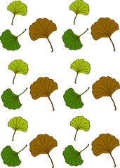 Fototapeta na wymiar set of autumn leaves