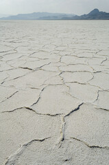 The Salt Flats