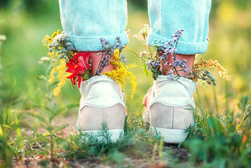 Beautiful wildflowers in shoes on a summer field. Summer background