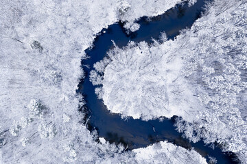 River and white forest in winter. Aerial view of nature