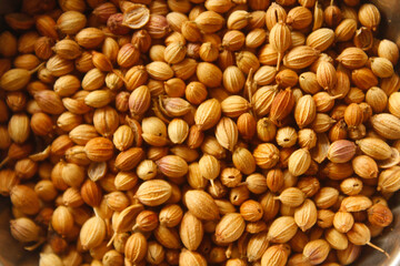 close up of coriander seeds
