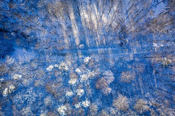 Snowy forest and road at winter. Transport in winter