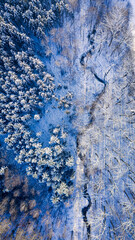 Winter forest and river. Aerial view of winter in Poland.