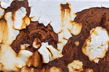 鉄板の丸く広がった錆と剥がれた白い塗料