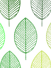 Fototapeta na wymiar Folhas estilizadas em verde