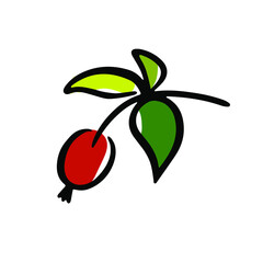 Sweet berry vector illustration. Hand drawn rose hip twig and colorful leaves isolated on the white background. For logo, tag, icon. 
