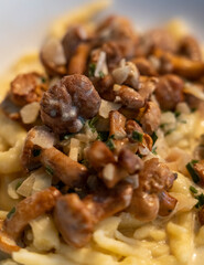 Mushrooms in the pan