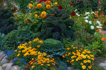 Fototapeta na wymiar Beautiful bright flower garden with yellow marigolds, sunflowers, white red dahlias and various ornamental plants in the city garden