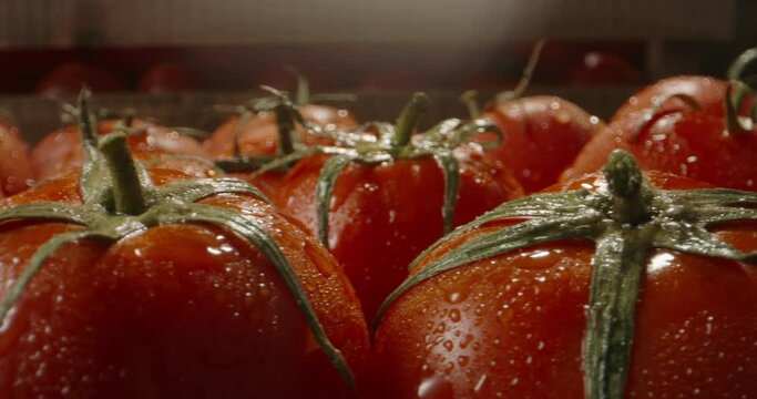 Juicy tasty fresh tomatoes on chef's table. Freshly washed organic vegetables straight from the farm. Healthy vegetarian products close up 4k footage