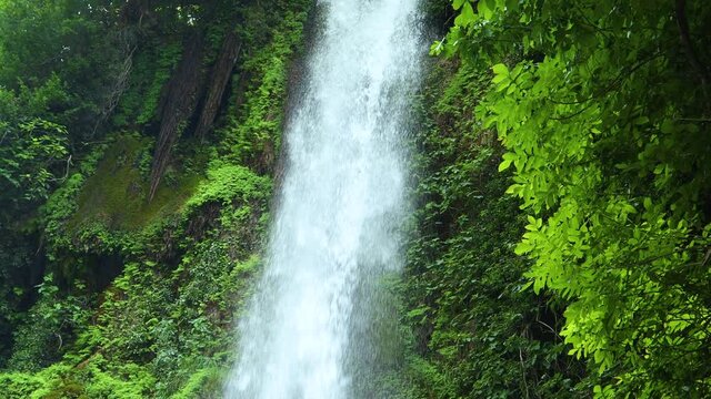 Amazing waterfall, Falling water hitting water surface, some huge rocks seeable in front of frame. Lush green leafes is moving from the wind,