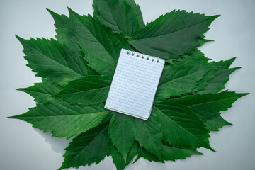 A small folding notebook in a cage with a clean place for writing in green foliage on white isolate.