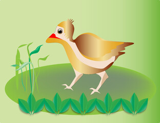 Beautiful golden duck in the garden