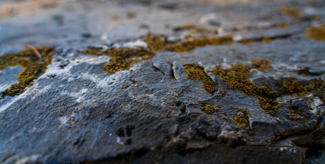 close up of a stone