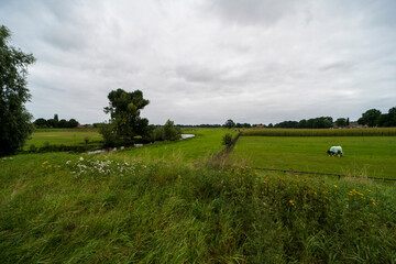 Obraz premium The Niers river with the church tower of Ottersum in the background