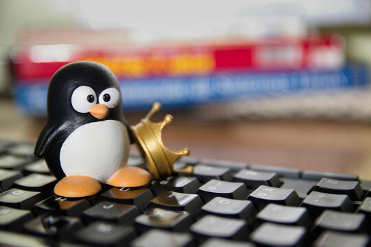 Close-up of a figure of Tux, symbol of Linux Free Software