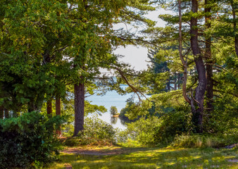 Fototapeta premium summers day at the wachusett reservior