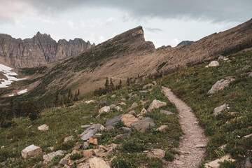 Fototapeta na wymiar Rocky Peaks Surrounding Piegan Pass