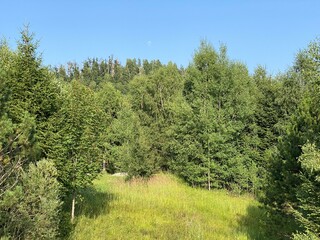 Obraz premium Park with meadows along Lake Lepenica and the surrounding mixed forest of Gorski kotar - Fuzine, Croatia (Park s livadama uz jezero Lepenica i okolnu mješovitu šumu Gorskog kotara - Fužine, Hrvatska)