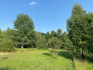 Fototapeta na wymiar Park with meadows along Lake Lepenica and the surrounding mixed forest of Gorski kotar - Fuzine, Croatia (Park s livadama uz jezero Lepenica i okolnu mješovitu šumu Gorskog kotara - Fužine, Hrvatska)
