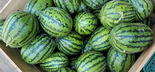 watermelons and melons