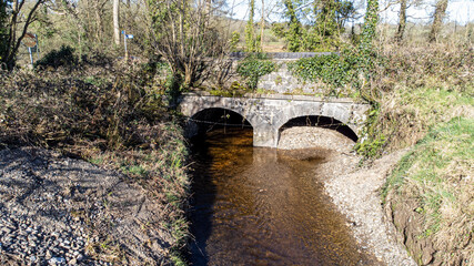 Landscape, City, Nature, Limerick, Buildings, Plants, Background, Macro