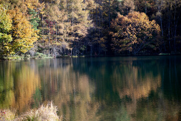 高原　湖　信州　映り込み　紅葉　秋
　