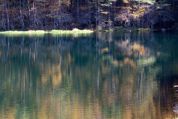 高原　湖　信州　映り込み　紅葉　秋