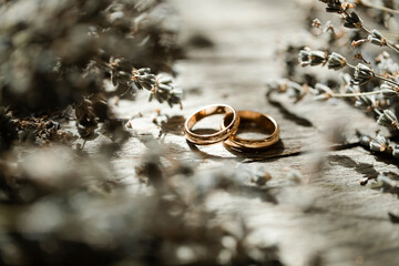 wedding rings on a tree
