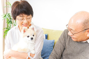 犬を飼うシニア夫婦
