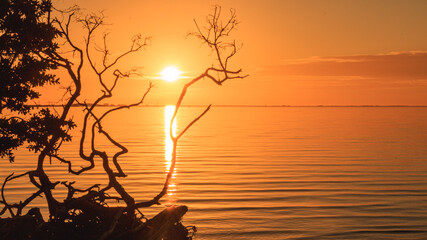Golden Sunset at Thanksgiving across Tampa Bay