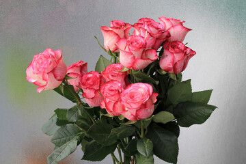 Bouquet of   pink roses